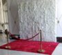 red-carpet-rental-7x10-feet
