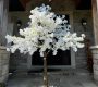 white-cherry-tree-rental